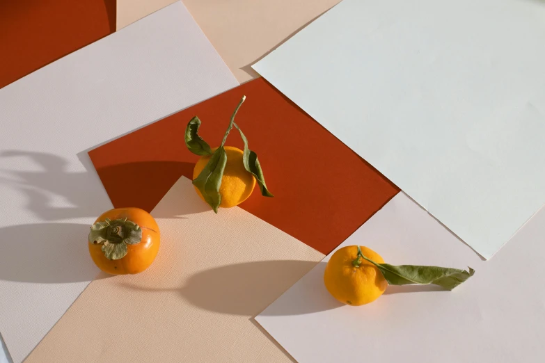 a couple of oranges sitting on top of a table, a still life, inspired by Christo, trending on unsplash, postminimalism, squares, layered paper, background image, exuberant organic elegant forms