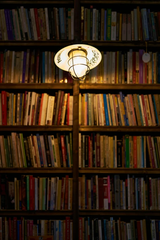 a bookshelf filled with lots of books next to a lamp, lit from above, uncropped, bookshops, neighborhood