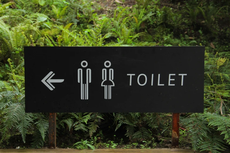 a toilet sign sitting in the middle of a lush green forest, pexels, black, people, brett amory, gray