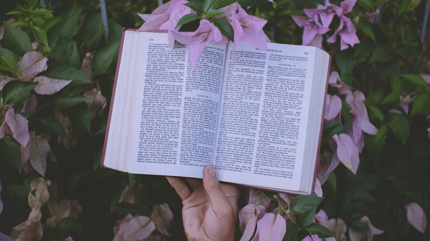 a person holding an open book in their hand, by Carey Morris, pexels contest winner, flowers in background, biblical, background image