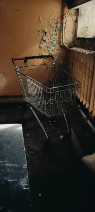 a shopping cart sitting next to a toilet in a bathroom, unsplash, hyperrealism, paul barson, grungy, stood outside a corner shop, 15081959 21121991 01012000 4k
