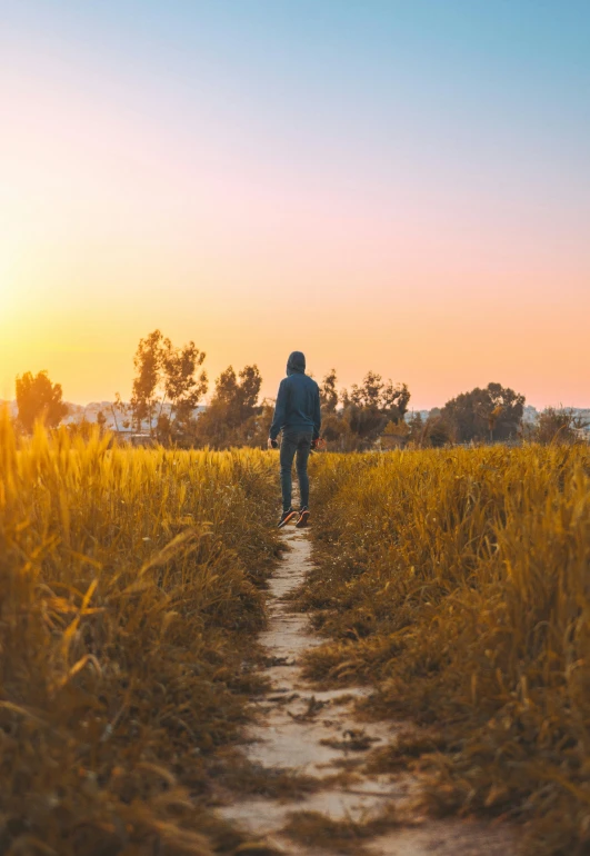 a person walking down a dirt path in a field, happening, during a sunset, walkthrough, in the middle of a field, man