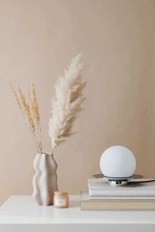 a white vase sitting on top of a table next to a stack of books, inspired by Eero Snellman, light and space, levitating agricultural sphere, boho neutral colors, fan favorite, detailed product image