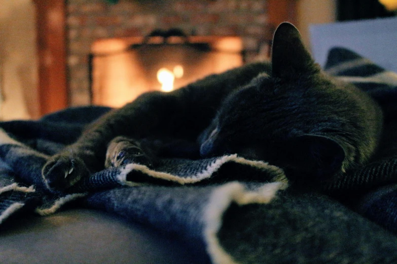a cat sleeping on a blanket in front of a fireplace, by Carey Morris, pexels contest winner, calm evening, smokey, over-the-shoulder shot, fires