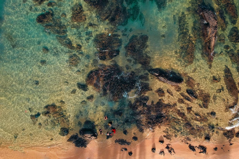 a group of people standing on top of a sandy beach, a screenshot, pexels contest winner, delicate coral sea bottom, rock pools, top down perspective, maui