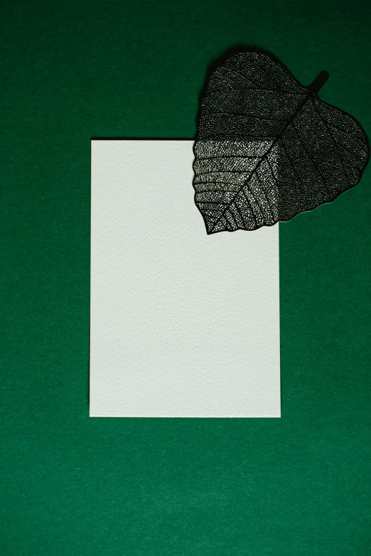 a leaf sitting on top of a piece of paper, inspired by Art Green, postminimalism, black textured, card, no text, without duplicate image