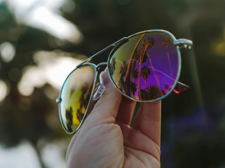 a person holding a pair of sunglasses in their hand, by Carey Morris, pexels contest winner, purple hues, with palm trees in the back, iridescent metals, desktop wallpaper