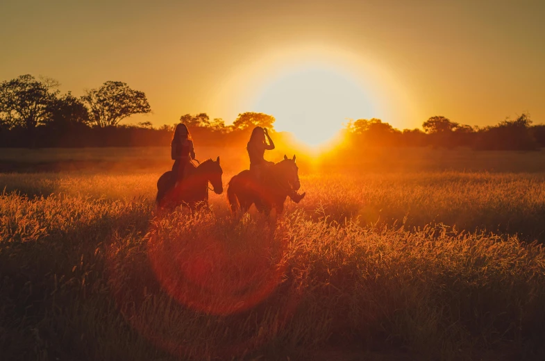 two people riding horses in a field at sunset, by Gwen Barnard, pexels contest winner, on a hot australian day, hunting, golden rays, detailed surroundings