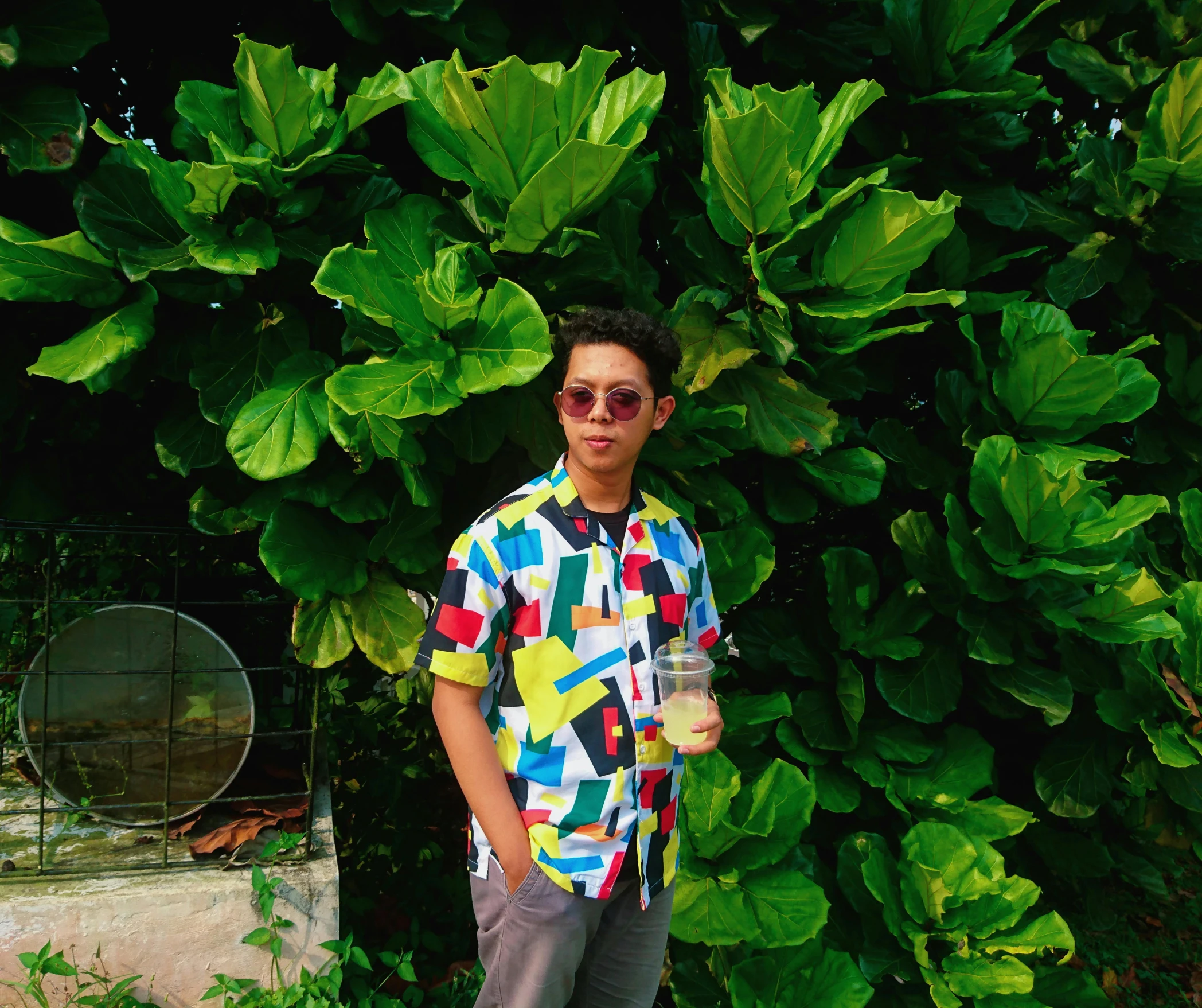 a man standing on a skateboard in front of a tree, an album cover, inspired by Ren Hang, unsplash, neo-fauvism, with hawaiian shirt, wear ray - ban glass, set on singaporean aesthetic, with ivy