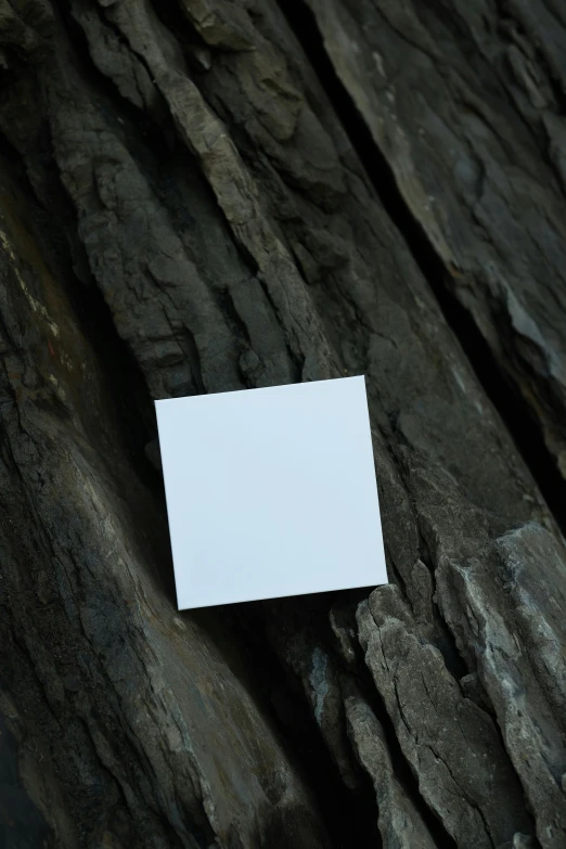 a piece of paper sitting on top of a tree, square, cliff, glossy white, dark. no text