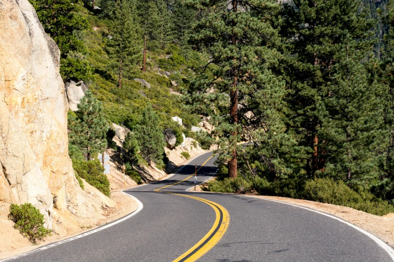 a man riding a skateboard down a curvy road, a picture, by Jeffrey Smith, unsplash, sparse pine trees, mammoth, thumbnail, slide show