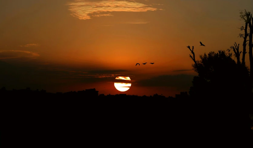 a sunset with birds flying in the sky, a picture, by Sudip Roy, pexels contest winner, the three suns, good night, ((sunset)), landscape