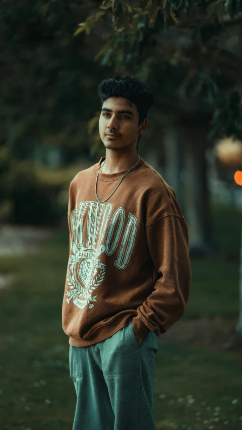a man standing on top of a lush green field, a colorized photo, inspired by Rudy Siswanto, trending on pexels, photorealism, brown sweater, casual streetwear, standing in a dimly lit room, brown skin man egyptian prince