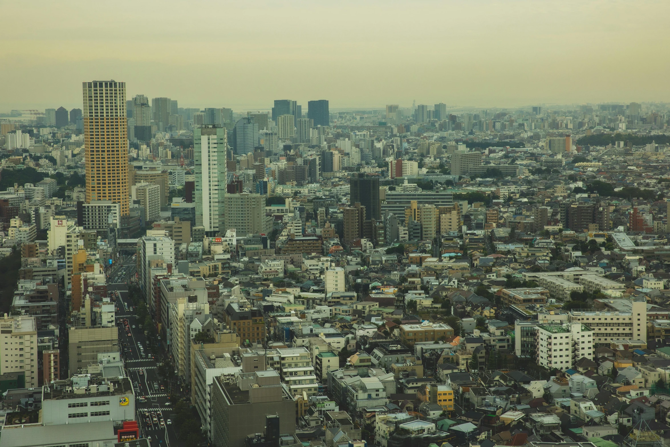 a view of a city from the top of a building, unsplash contest winner, ukiyo-e, dusty abandoned shinjuku, 2 0 0 0's photo, high quality image”