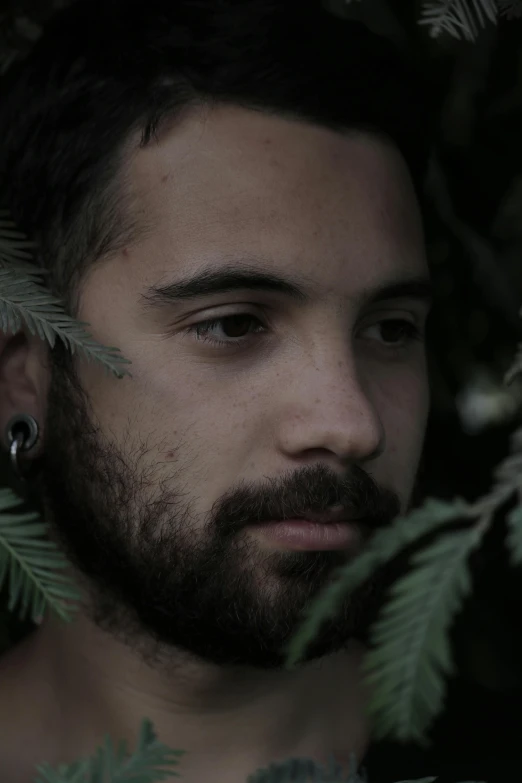 a close up of a man with a beard, inspired by Elsa Bleda, pexels contest winner, forest themed, young spanish man, low quality photo, low quality footage