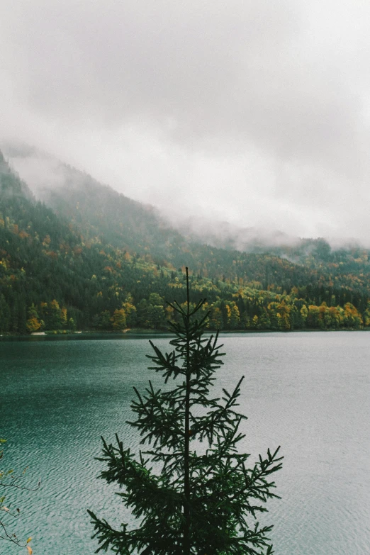 a large body of water surrounded by trees, by Sebastian Spreng, unsplash contest winner, low clouds after rain, pine tree, autumn mountains, festivals