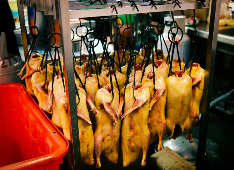 a bunch of meat hanging from a rack in a kitchen, duck, kakar cheung, hatched pointed ears, possibly extra limbs