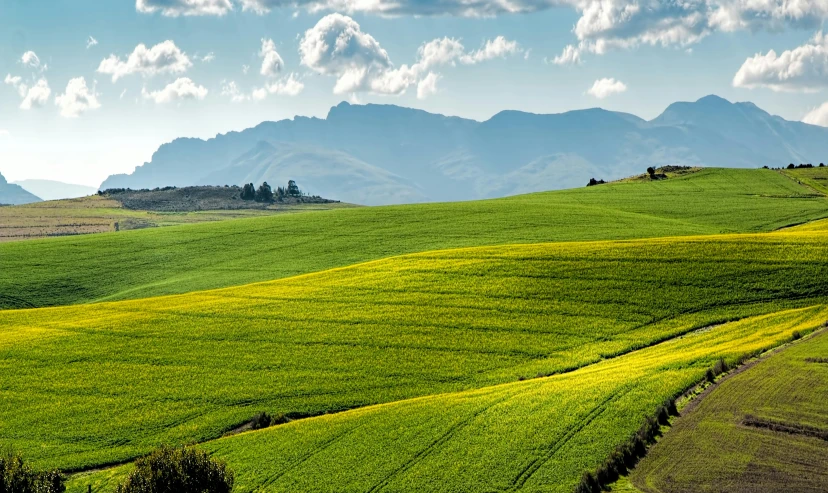 a green field with mountains in the background, by Hubert van Ravesteyn, pexels contest winner, renaissance, green and gold, farming, 8k resolution”, stunning screensaver