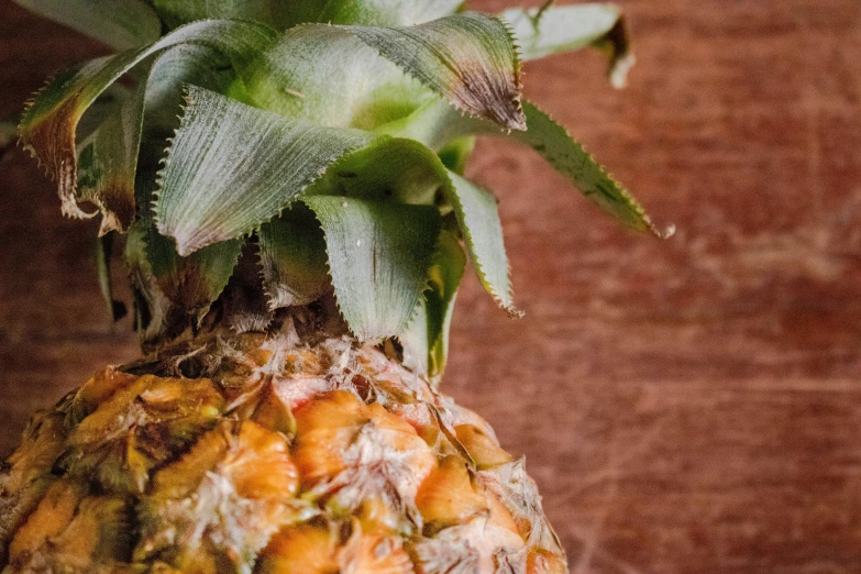 a pineapple sitting on top of a wooden table, a portrait, pexels, fan favorite, recipe, uncrop, close up shot from the side