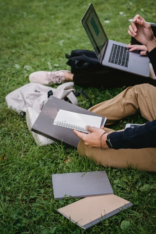 a couple of people sitting on the grass with laptops, trending on pexels, academic art, grey, holding notebook, ignant, grazing