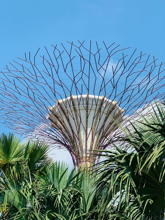 a large tree in the middle of a park, an abstract sculpture, inspired by Patrick Dougherty, unsplash, the singapore skyline, fronds, 🦑 design, towering high up over your view