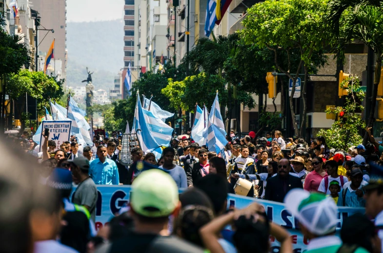 a large group of people walking down a street, by Sam Dillemans, pexels contest winner, happening, argentine flags behind, formula 1, 🚿🗝📝, placards