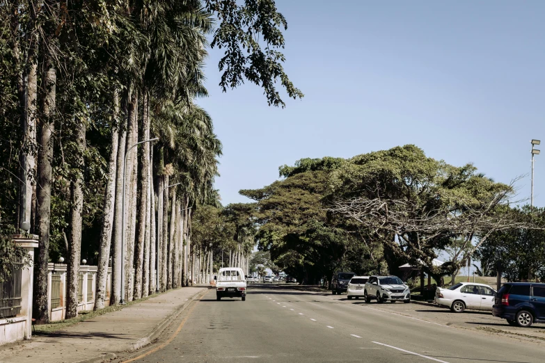 a group of cars driving down a street next to tall trees, by Ceferí Olivé, pexels contest winner, hurufiyya, tropical coastal city, tawa trees, thumbnail, well preserved