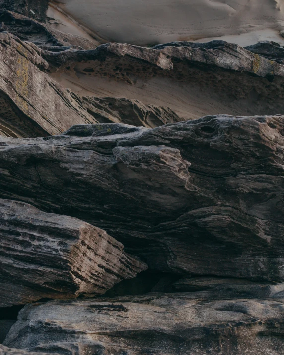 a man riding a surfboard on top of a rocky beach, an album cover, unsplash contest winner, naturalism, geological strata, bog oak, detailed veins, wrinkles