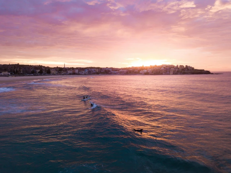 a group of people riding surfboards on top of a body of water, by Tom Bonson, pexels contest winner, bondi beach in the background, purple sunset, wide aerial shot, sunset panorama