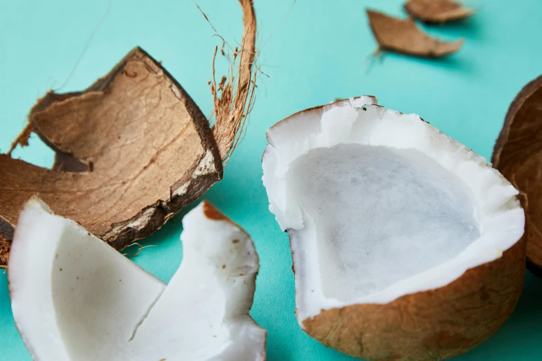 a broken coconut sitting on top of a blue surface, by Carey Morris, trending on pexels, hurufiyya, bark for skin, ingredients on the table, elliot alderson, epicurious