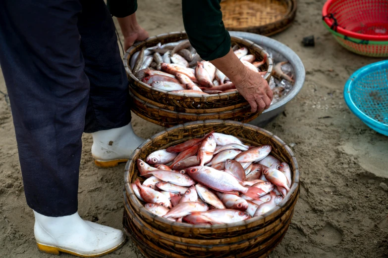 a couple of baskets filled with fish next to each other, a portrait, by Yasushi Sugiyama, trending on pexels, vietnam, purple mullet, thumbnail, behind the scenes