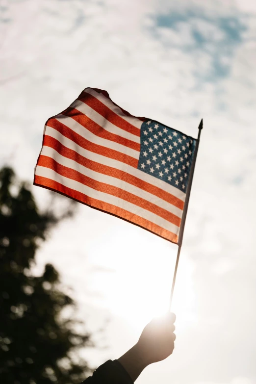 a person holding an american flag in the air, profile image