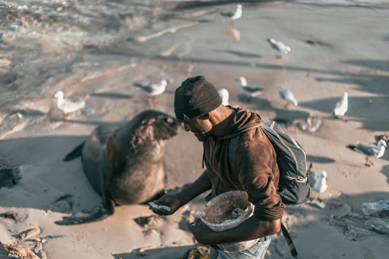 a man standing on top of a sandy beach next to a seal, offering a plate of food, unsplash photography, brown, grey