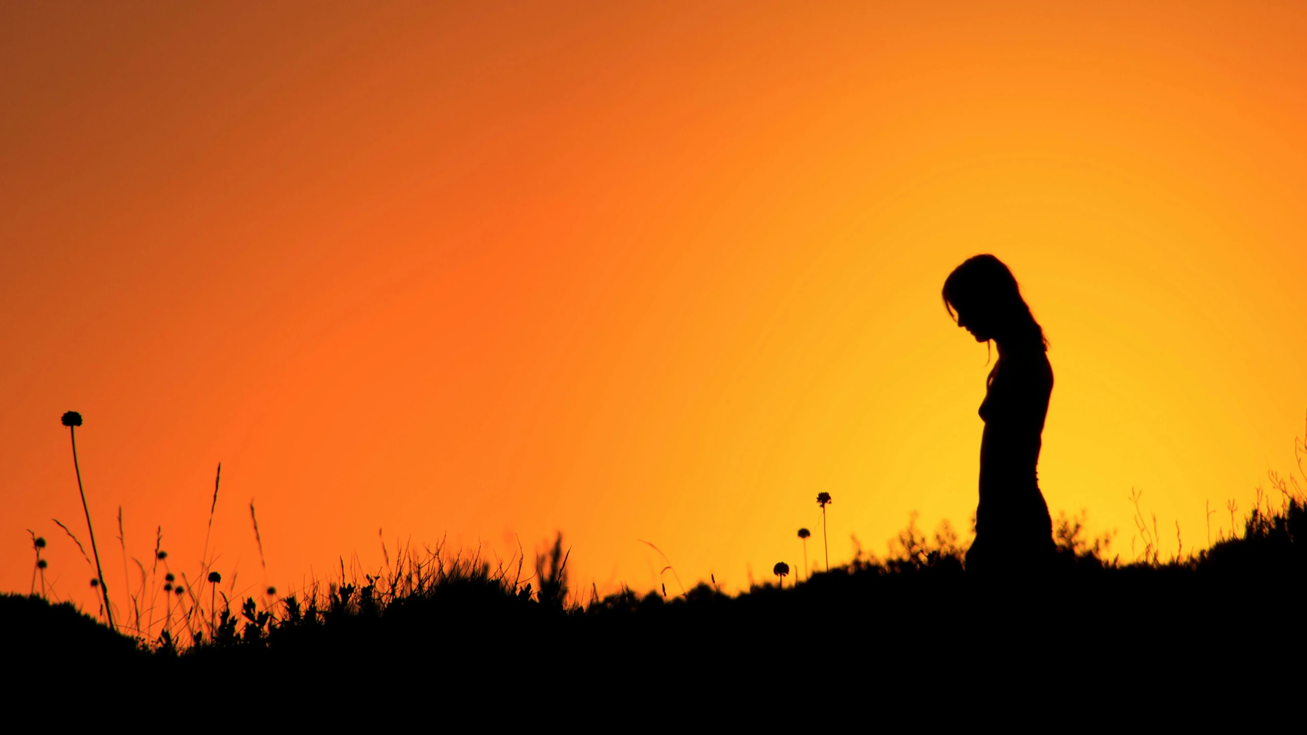 a silhouette of a person standing on a hill at sunset, pexels, she's sad, in front of an orange background, standing alone in grassy field, devastated