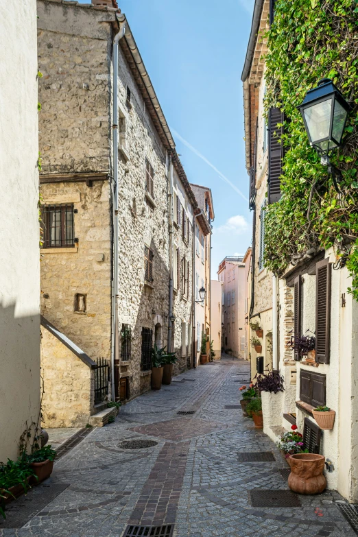 a narrow cobblestone street lined with potted plants, by Carlo Carrà, romanesque, town in the background, shady alleys, taken in the early 2020s, square