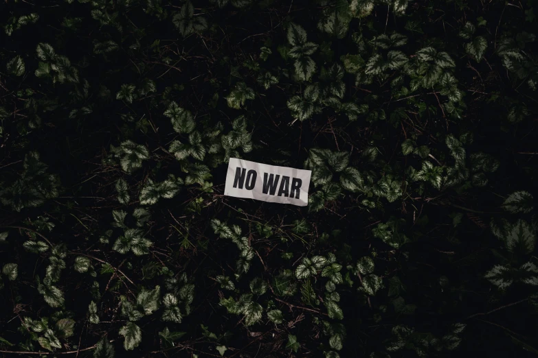 a no war sign in front of a bush, an album cover, unsplash, background image, war theatre, non-binary, military
