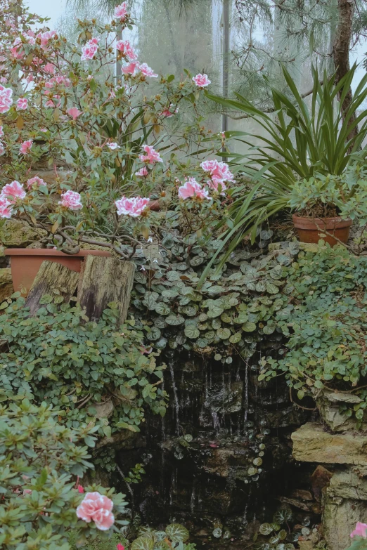 a garden filled with lots of flowers and plants, inspired by Jacopo Bassano, pink waterfalls, shot on 7 0 mm, patio, loosely cropped