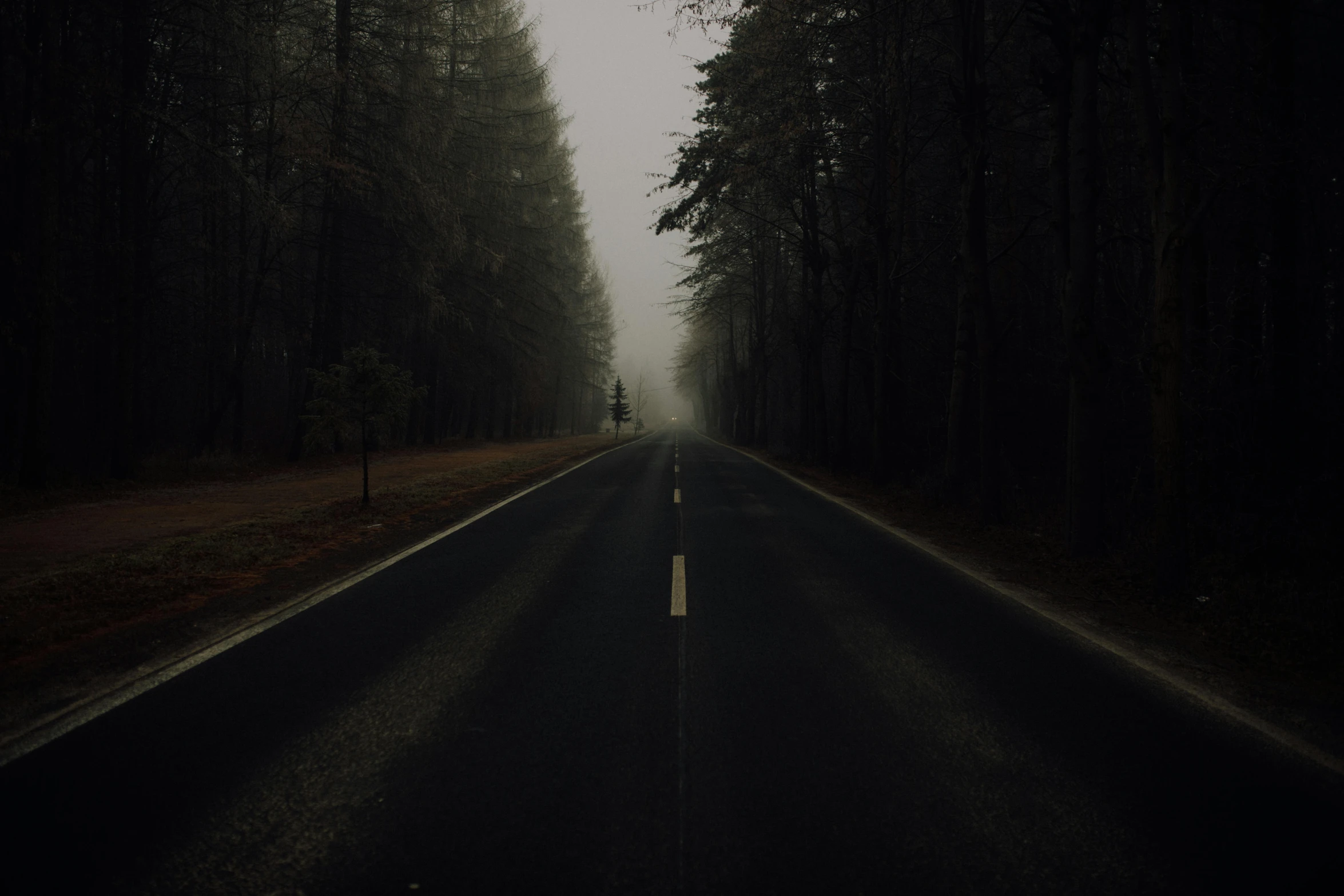 an empty road in the middle of a forest, an album cover, postminimalism, grey mist, medium, dark, low-angle