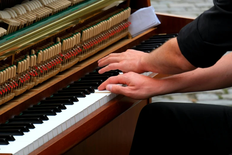 a close up of a person playing a piano, during the day, caparisons, thumbnail, three - quarter view