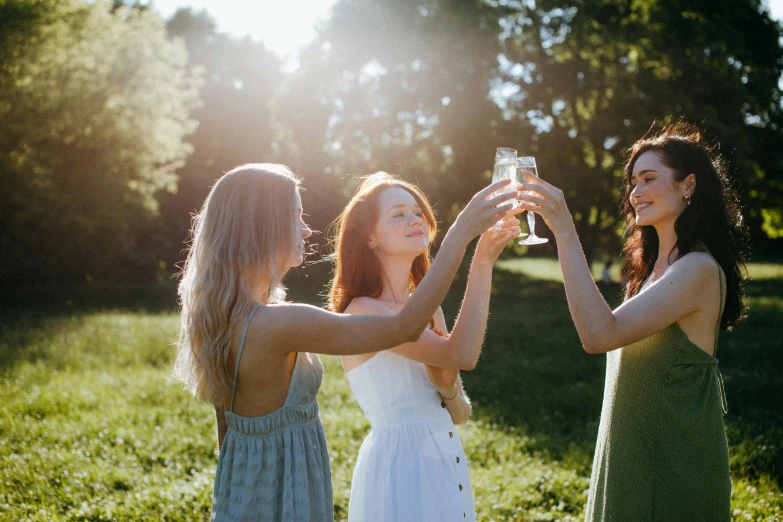 three women toasting each other in a field, by Alice Mason, pexels contest winner, happening, sparkling in the sunlight, white, party in front, well shaded