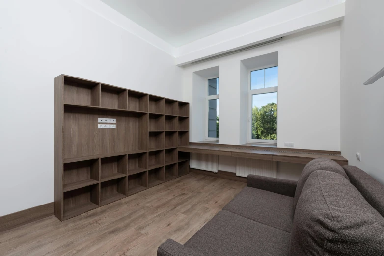 a living room with a couch and bookshelf, danube school, neo kyiv, natural light outside, individual, brown ) )