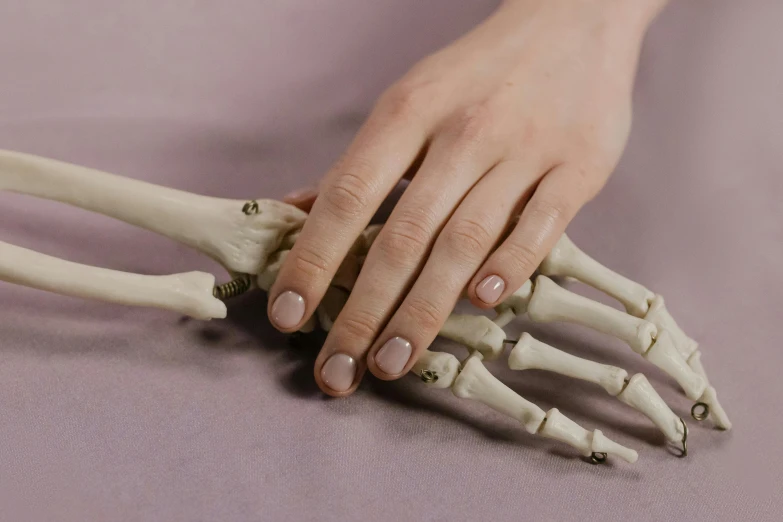 a close up of a person holding a skeleton hand, inspired by Sarah Lucas, trending on pexels, nails, acupuncture treatment, a pale skin, animation