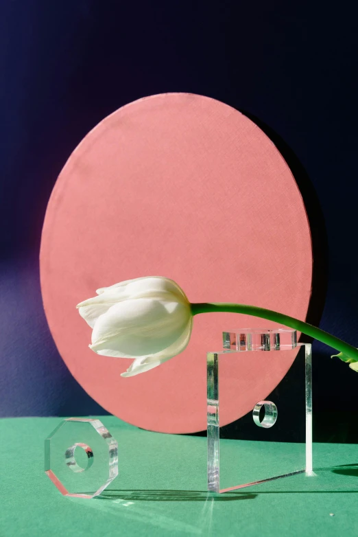 a close up of a flower in a vase on a table, an album cover, inspired by Robert Mapplethorpe, easter, round mirror on the wall, architectural digest, tulip