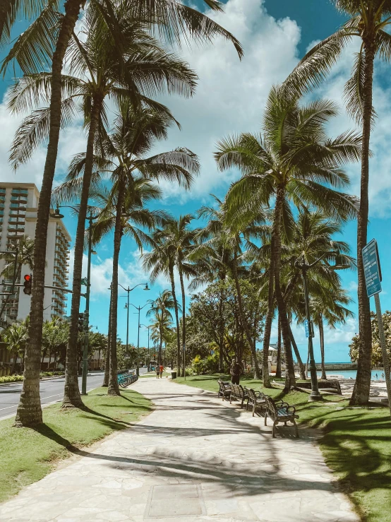 a street lined with palm trees next to the ocean, grass field surrounding the city, beachfront, college, slide show