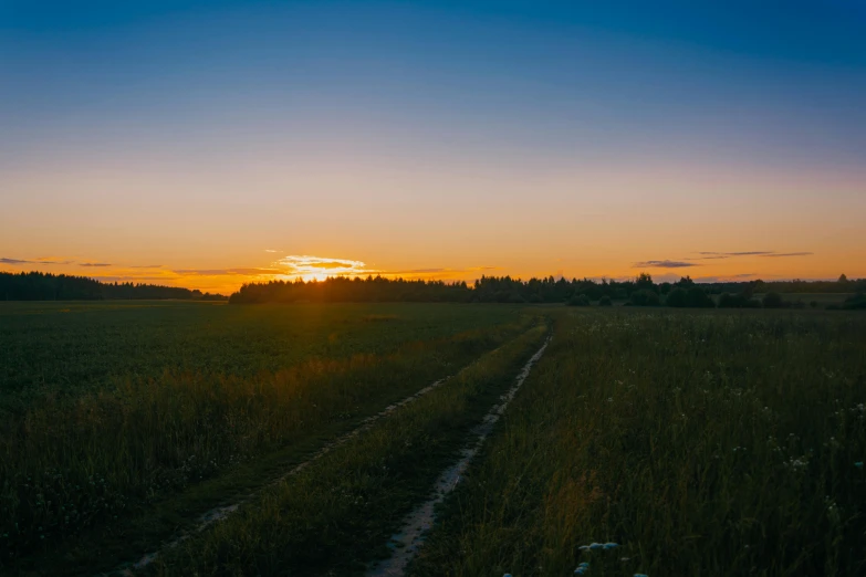 the sun is setting over a field of grass, by Attila Meszlenyi, unsplash contest winner, large path, humid evening, wide view, low quality photo