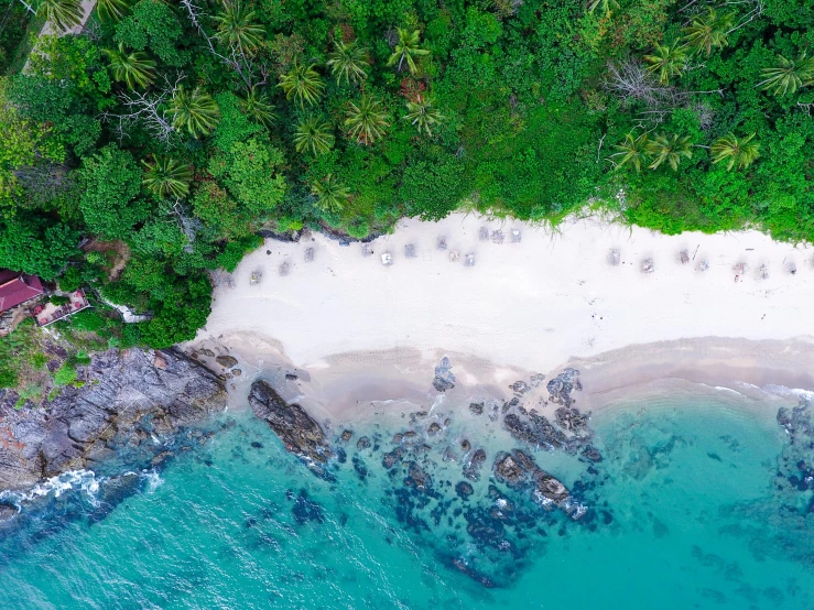 an aerial view of a beach surrounded by trees, pexels contest winner, hurufiyya, pristine skin, coconuts, thumbnail, sparkling cove