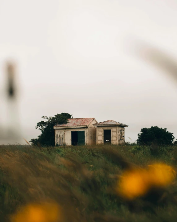 a small house sitting in the middle of a field, by Lucia Peka, unsplash contest winner, australian tonalism, old buildings, background image, zoomed in shots, 90s photo