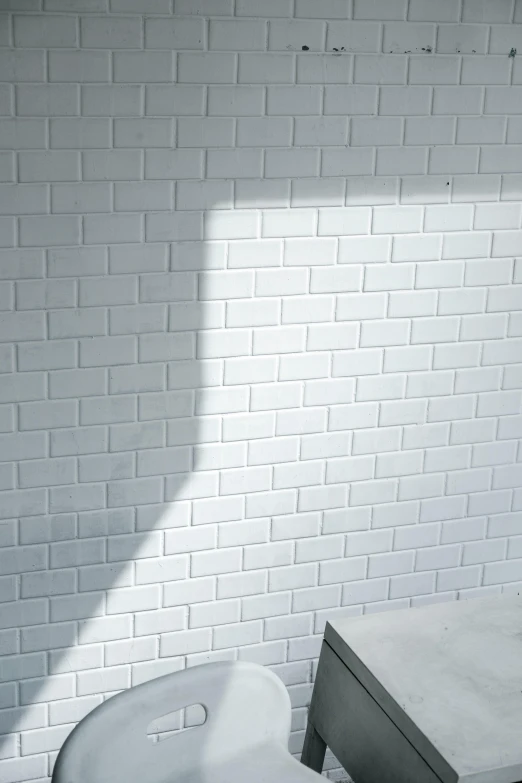 a white toilet sitting in a bathroom next to a sink, an ambient occlusion render, inspired by David Chipperfield, unsplash, brick wall, sun and shadow, white wall, bricks