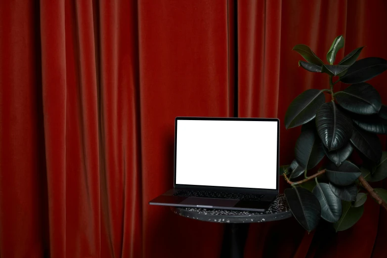 a laptop computer sitting on top of a table, inspired by Elsa Bleda, red curtain, leaves and simple cloth, cyber aesthetic, no - text no - logo