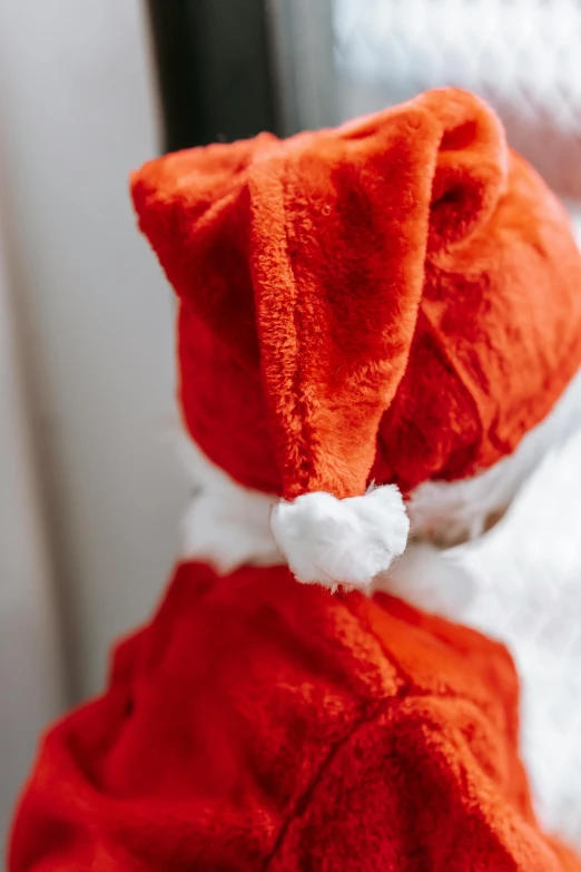 a close up of a teddy bear wearing a santa suit, by Julia Pishtar, orange balaclava, high quality upload, cosy, little
